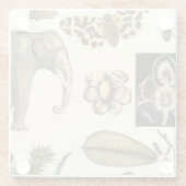 Geabsorbeerde dieren gekleurd op de achtergrond va glazen onderzetter (Achterkant)