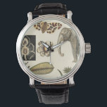Geabsorbeerde dieren gekleurd op de achtergrond va horloge<br><div class="desc">De wonderen van de natuur worden getoond in dit stuk door Visual Studio. Creepy insecten mengen zich met een olifant,  vlinder en andere geassorteerde dieren. Als je van natuur houdt,  is dit de afdruk voor je!</div>
