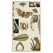 Geabsorbeerde dieren gekleurd op de achtergrond va klein cadeauzakje (Achterkant)