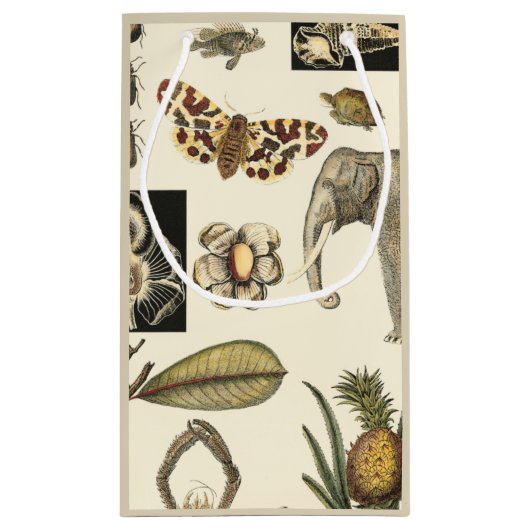 Geabsorbeerde dieren gekleurd op de achtergrond va klein cadeauzakje (Achterkant)