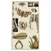 Geabsorbeerde dieren gekleurd op de achtergrond va klein cadeauzakje (Voorkant)