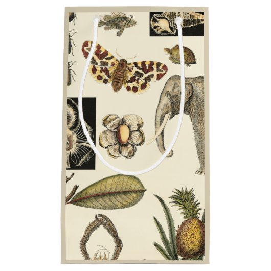 Geabsorbeerde dieren gekleurd op de achtergrond va klein cadeauzakje (Voorkant)