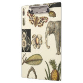 Geabsorbeerde dieren gekleurd op de achtergrond va klembord (Links)