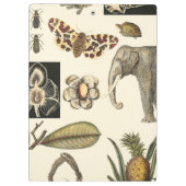 Geabsorbeerde dieren gekleurd op de achtergrond va klembord (Achterkant)