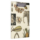 Geabsorbeerde dieren gekleurd op de achtergrond va klembord (Rechts)