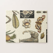 Geabsorbeerde dieren gekleurd op de achtergrond va legpuzzel (Horizontaal)