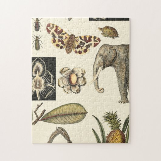 Geabsorbeerde dieren gekleurd op de achtergrond va legpuzzel (Verticaal)