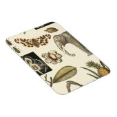 Geabsorbeerde dieren gekleurd op de achtergrond va magneet (Rechterzijde)