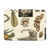 Geabsorbeerde dieren gekleurd op de achtergrond va magneet (Horizontaal)