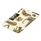 Geabsorbeerde dieren gekleurd op de achtergrond va magneet (Linkerzijde)