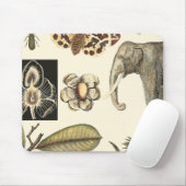 Geabsorbeerde dieren gekleurd op de achtergrond va muismat (Met muis)