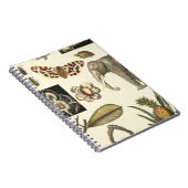 Geabsorbeerde dieren gekleurd op de achtergrond va notitieboek (Rechterzijde)