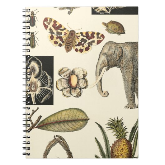 Geabsorbeerde dieren gekleurd op de achtergrond va notitieboek (Voorkant)