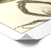 Geabsorbeerde dieren gekleurd op de achtergrond va poster (Hoek)