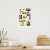 Geabsorbeerde dieren gekleurd op de achtergrond va poster (Keuken)