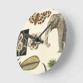 Geabsorbeerde dieren gekleurd op de achtergrond va ronde klok (Hoek)