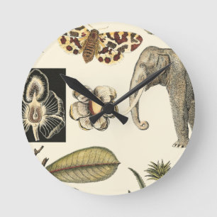 Geabsorbeerde dieren gekleurd op de achtergrond va ronde klok