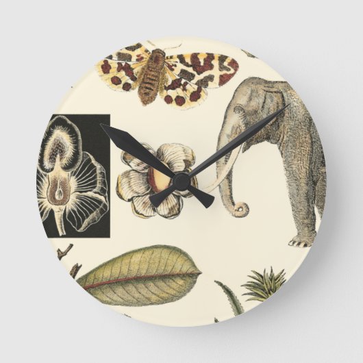 Geabsorbeerde dieren gekleurd op de achtergrond va ronde klok (Voorkant)