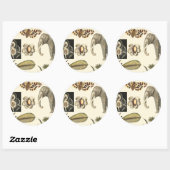 Geabsorbeerde dieren gekleurd op de achtergrond va ronde sticker (Vel)