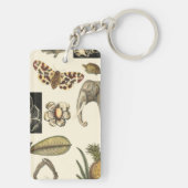 Geabsorbeerde dieren gekleurd op de achtergrond va sleutelhanger (achterkant)