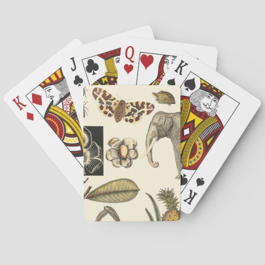 Geabsorbeerde dieren gekleurd op de achtergrond va speelkaarten (Achterkant)