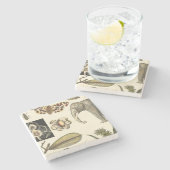 Geabsorbeerde dieren gekleurd op de achtergrond va stenen onderzetter (Zijkant)