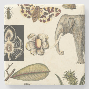 Geabsorbeerde dieren gekleurd op de achtergrond va stenen onderzetter