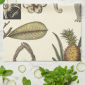 Geabsorbeerde dieren gekleurd op de achtergrond va theedoek (Gevouwen)