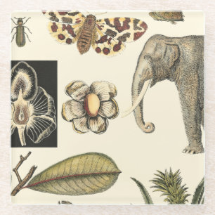 Geabsorbeerde dieren op de achtergrond van crème glazen onderzetter