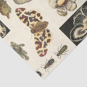 Geabsorbeerde dieren op de achtergrond van crème tissuepapier (Detail)