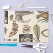 Geabsorbeerde dieren op de achtergrond van crème tissuepapier (Craft)