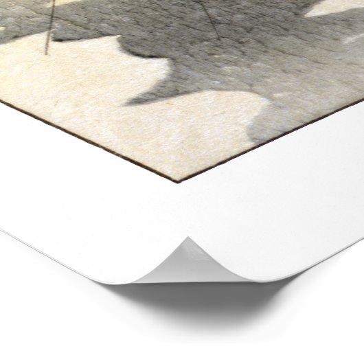 Geachte heer Cat Poster II (Hoek)