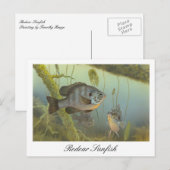 Geachte Sunfish schilderij Briefkaart (Voorkant / Achterkant)