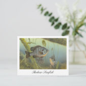 Geachte Sunfish schilderij Briefkaart (Staand voorkant)