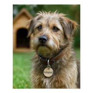 Geadopteerde ruwharige hond met hondenhok perfect poster