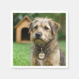 Geadopteerde ruwharige hond met hondenhok servet