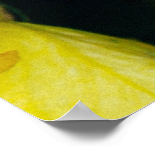 Geadsorbeerde bloemen in blokvorm poster (Hoek)