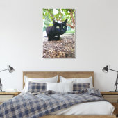 gealarmeerde kat verstopt onder struik. canvas afdruk (Insitu (Slaapkamer))