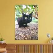 gealarmeerde kat verstopt onder struik. canvas afdruk (Insitu (Woonkamer))