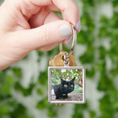 gealarmeerde kat verstopt onder struik. sleutelhanger (Hand)