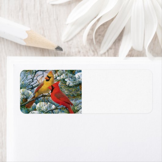 geanimeerd kardinaal etiket (Insitu)