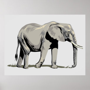 Geanimeerde olifant poster