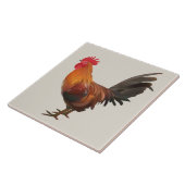 Geanimeerde Rooster Tegeltje (Zijkant)