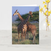 Geannuleerde Giraffe 2 Kaart (Gele Bloem)