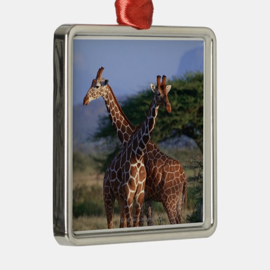 Geannuleerde Giraffe 2 Metalen Ornament (Rechts)
