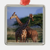 Geannuleerde Giraffe 2 Metalen Ornament (Voorkant)