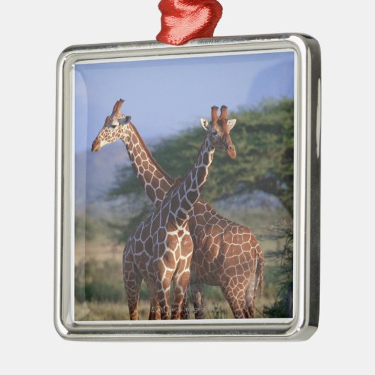 Geannuleerde Giraffe 2 Metalen Ornament (Links)