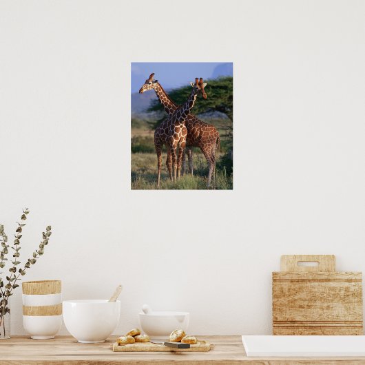 Geannuleerde Giraffe 2 Poster (Keuken)