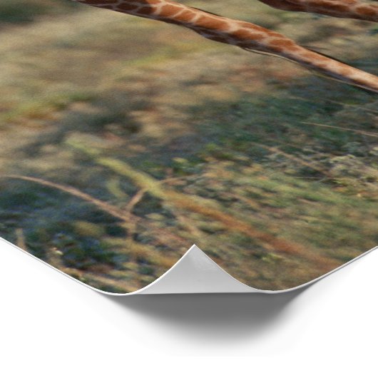 Geannuleerde Giraffe 2 Poster (Hoek)