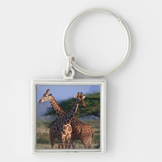Geannuleerde Giraffe 2 Sleutelhanger (Voorkant)